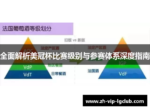 全面解析美冠杯比赛级别与参赛体系深度指南