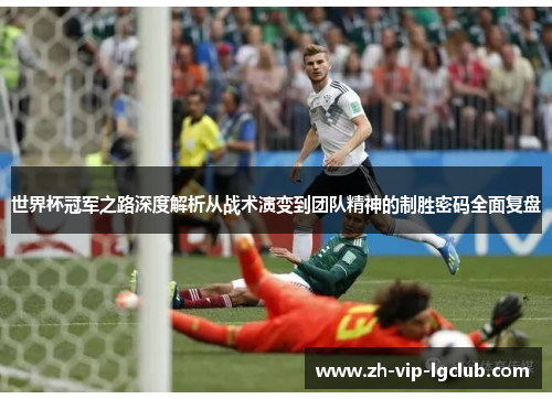 世界杯冠军之路深度解析从战术演变到团队精神的制胜密码全面复盘